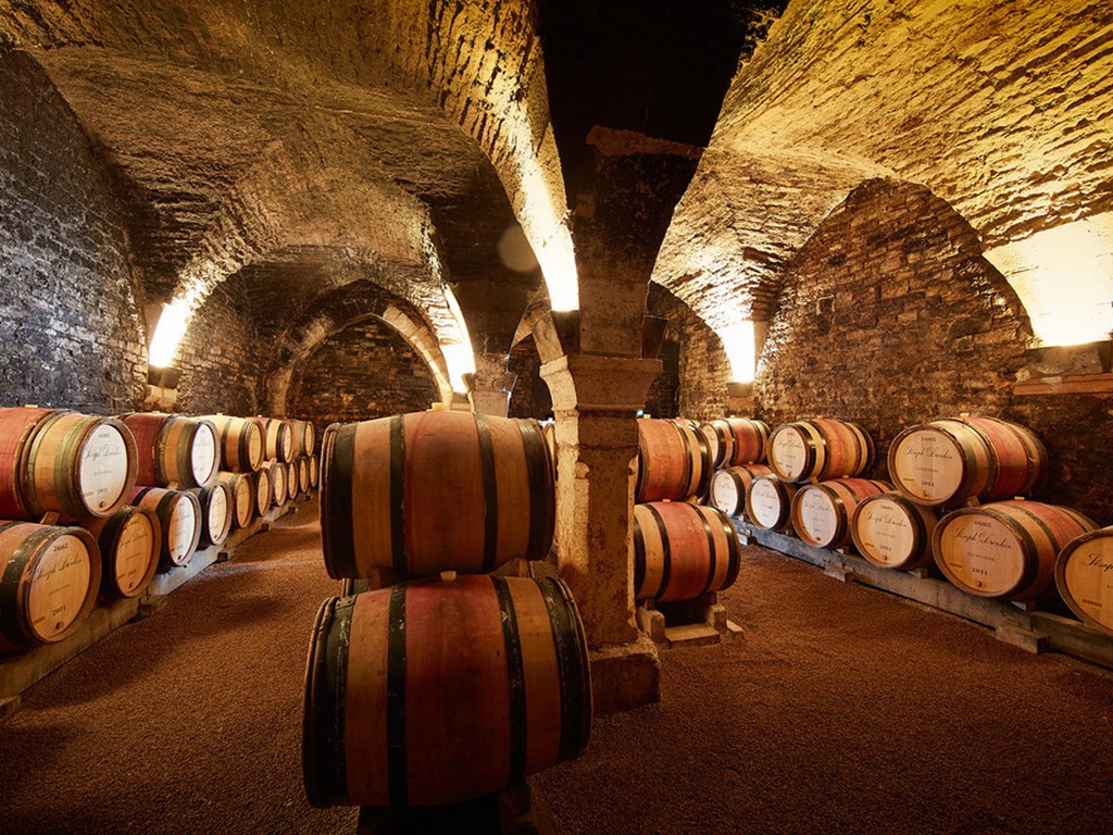 wine tasting tours in burgundy france